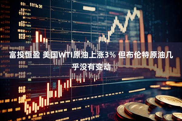 富投恒盈 美国WTI原油上涨3% 但布伦特原油几乎没有变动